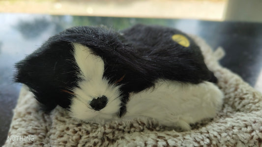 Meet Your New Co-Pilot: The Lifelike Dashboard Sleeping Dog!