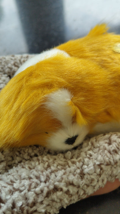 Meet Your New Co-Pilot: The Lifelike Dashboard Sleeping Dog!