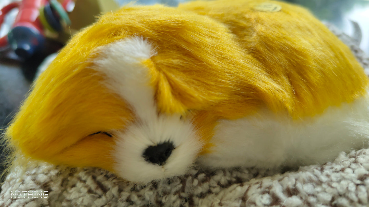 Meet Your New Co-Pilot: The Lifelike Dashboard Sleeping Dog!