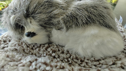 Meet Your New Co-Pilot: The Lifelike Dashboard Sleeping Dog!