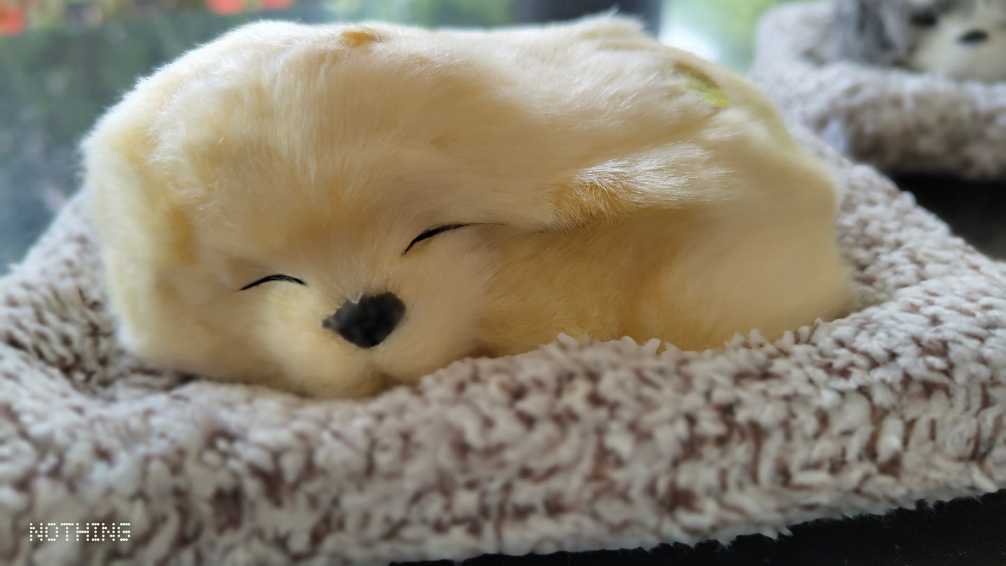 Meet Your New Co-Pilot: The Lifelike Dashboard Sleeping Dog!